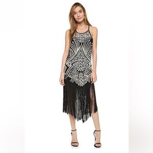 Cleobella Fringe Dress